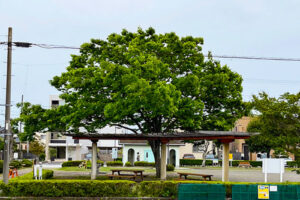 いしかわ皮膚科・アレルギー科 地図